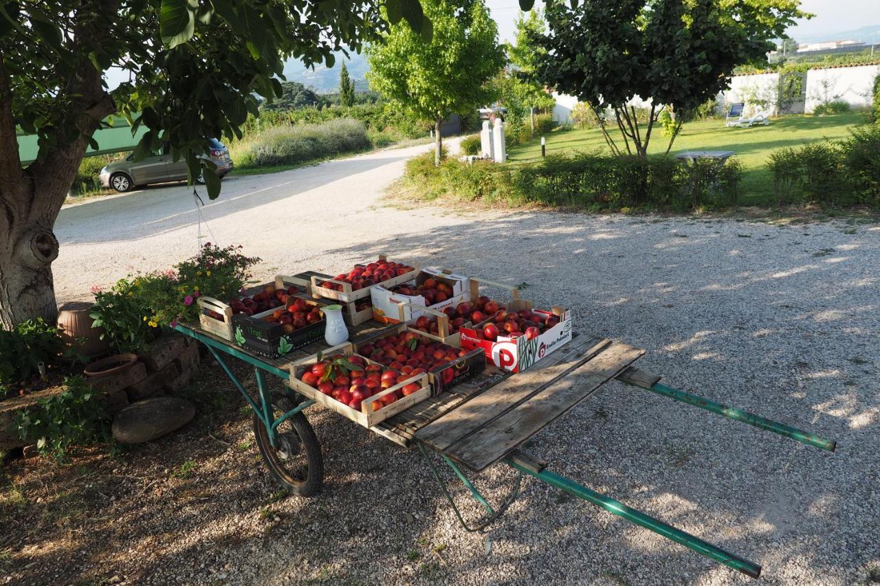 Agriturismo Fior Di Maggio Пескантина Экстерьер фото