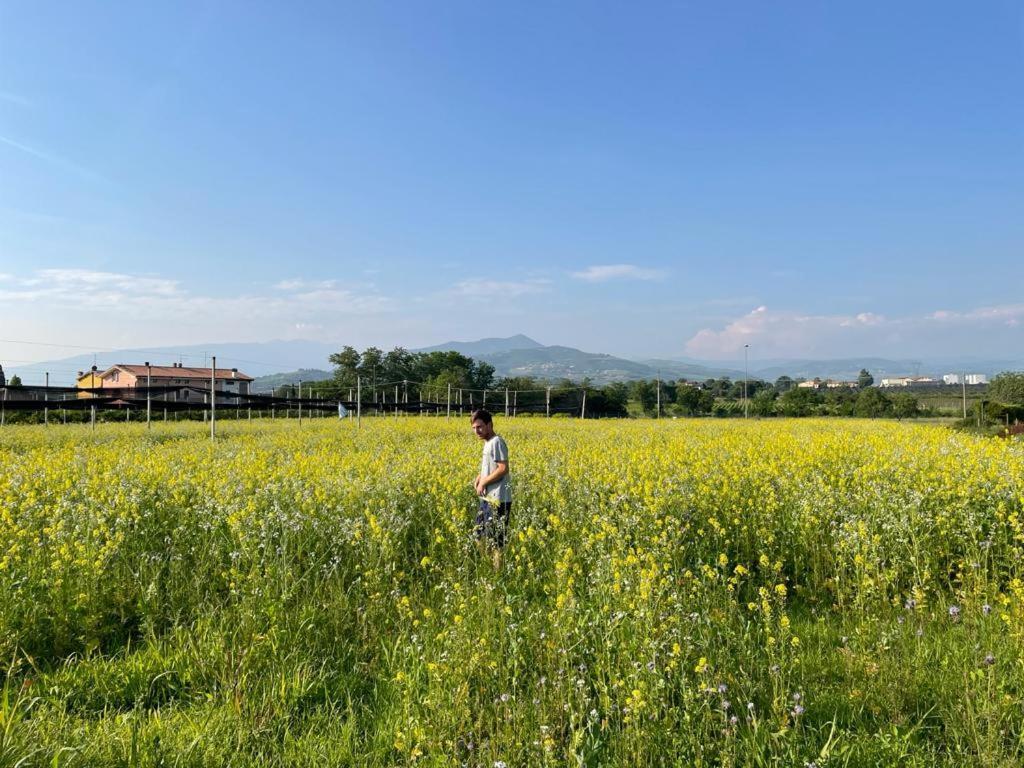 Agriturismo Fior Di Maggio Пескантина Экстерьер фото