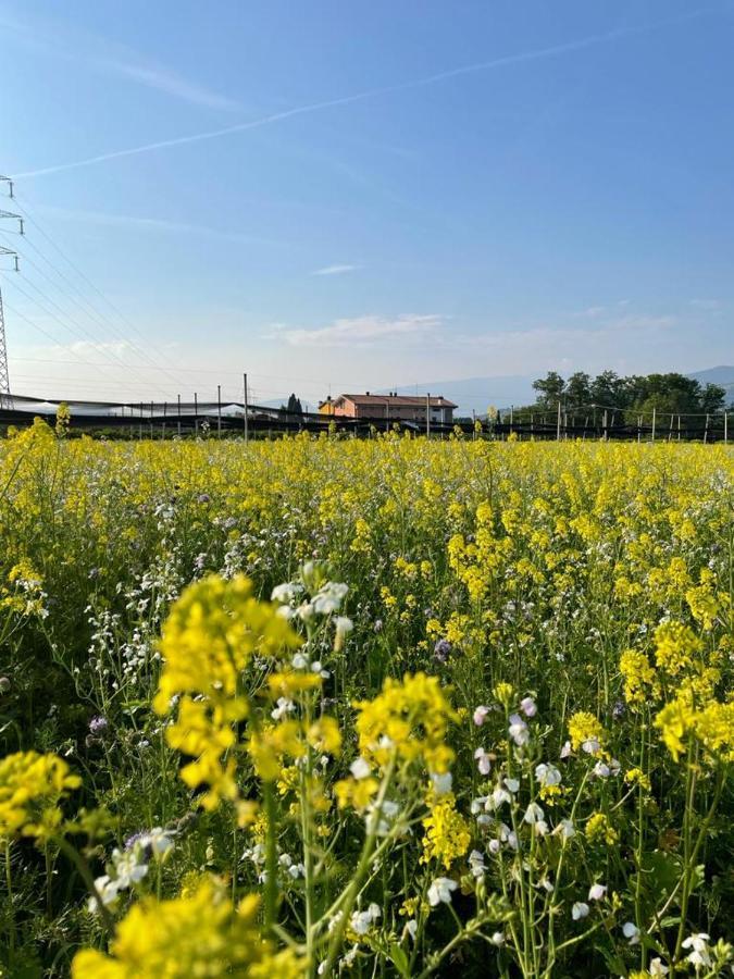 Agriturismo Fior Di Maggio Пескантина Экстерьер фото